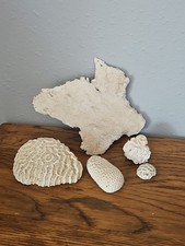 Lot Variety of White Dead