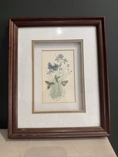 Original Framed Anthony R camp