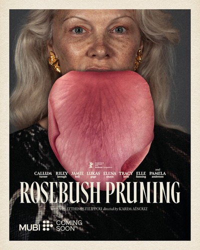 Rosebush pruning pamela - pruning, (pamela