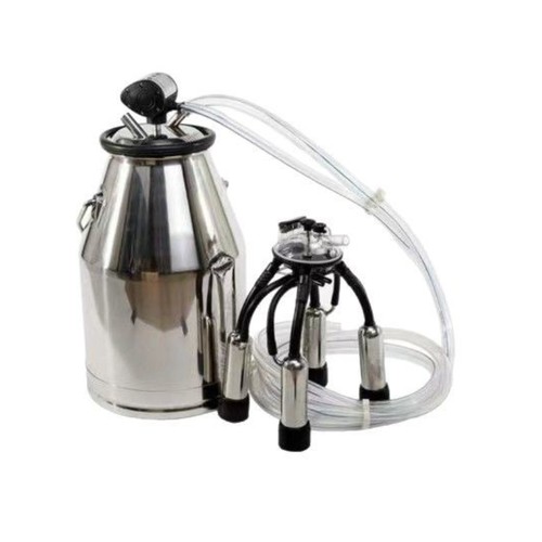 304 stainless steel cow sheep - cow,