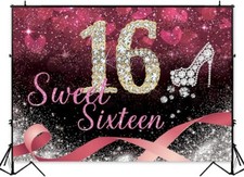 5' X 7' Sweet Sixteen Vinyl