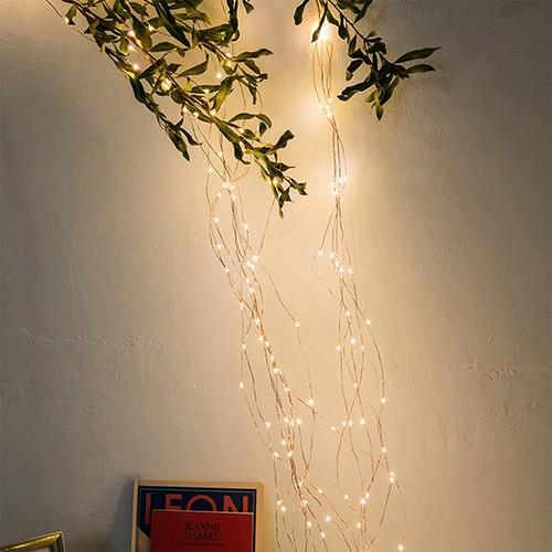 Lighted willow twig branch - willow,