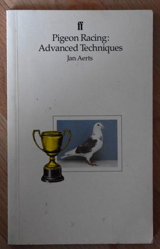 Pigeon racing advanced - pigeon,