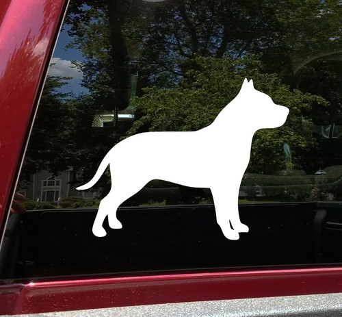 Pit bull vinyl - pit, terrier