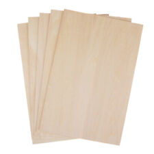 10Pc Unpainted Wooden Board
