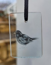 Suncatcher Blackbird bird