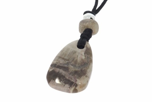 Power stone petrified wood - power,