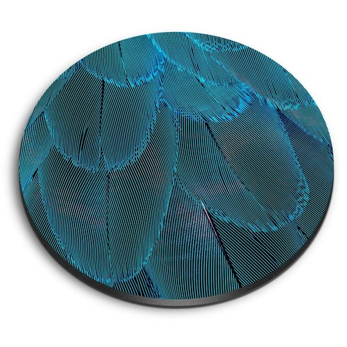 Round mdf magnets blue macaw - round,