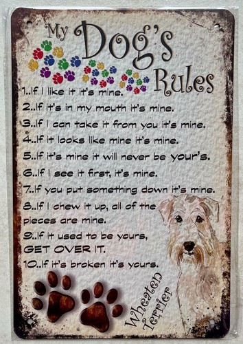 Dogs rules wheaten terrier - my,