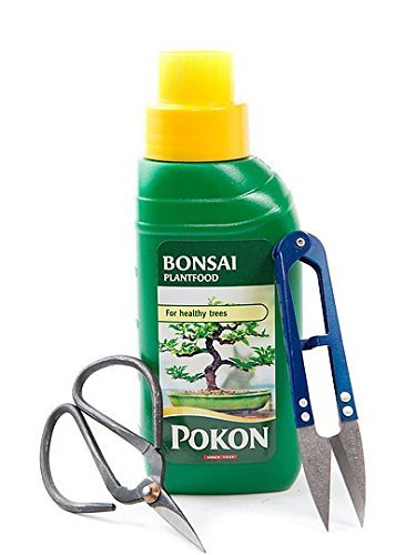 Bonsai liquid feed - food, /