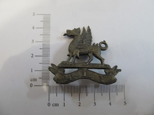 Montgomeryshire imperial - montgomeryshire,