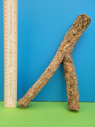 Cork bark branch 26cm - cork,