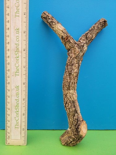 Cork bark branch - bark, snake