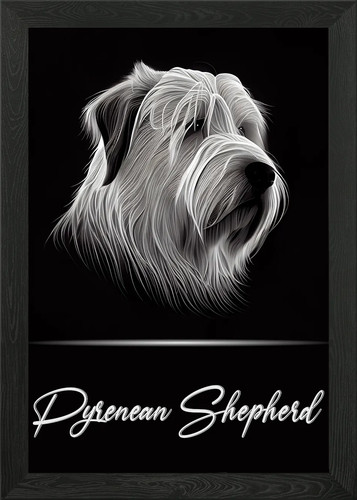 Pyrenean shepherd framed wall - framed,