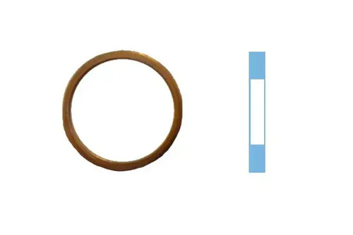 Seal ring oil - oil, plug