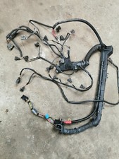 Bmw Z3 M43 1.9 Engine Wiring Loom