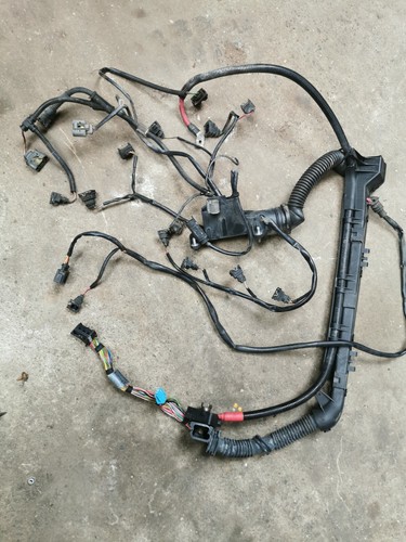 Bmw m43 engine wiring - z3,