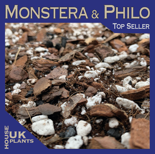Monstera philodendron soil - philodendron,