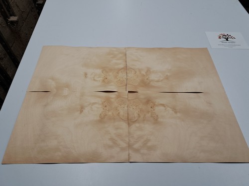 Burr sycamore veneer 4 - veneer,