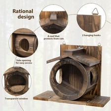 Wild Squirrel Feeding Station