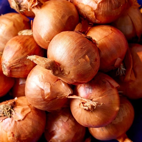 Round pickling shallots baby - round,