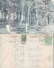 Northfields forest in Aldeburgh ETWD 1908 postmark Landscapes Forests