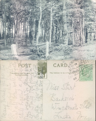 Northfields forest - , in