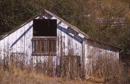 Color slides pro photo - 35,