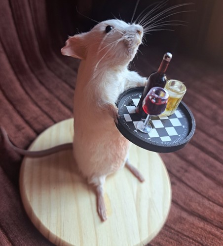 Mouse taxidermy with tray - taxidermy,