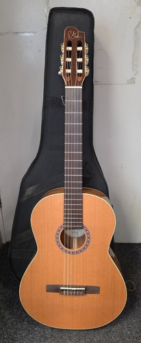 Godin concert nylon string - nylon,