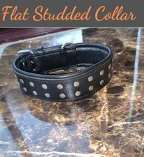 Black 2" Wide Dog Collar Studded Leather Pet Collar For Large Breeds Heavy Duty