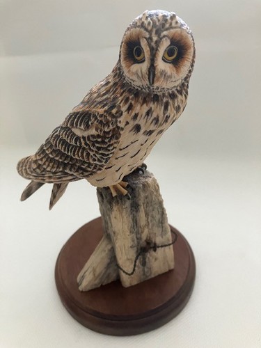 Border fine arts short eared - fine,
