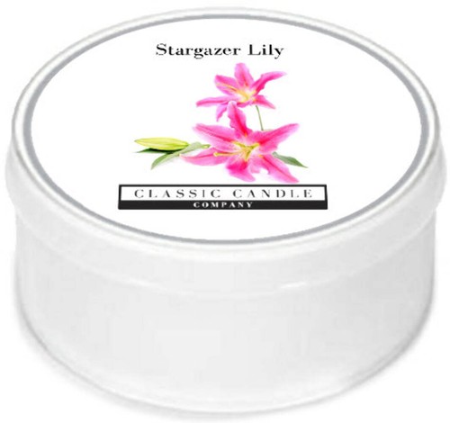 Stargazer lily classic candle - stargazer,