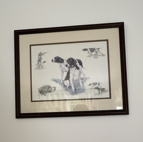 Framed pointer dog hunting - dog,