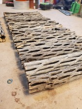 Pcs inch cholla - cholla, logs