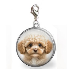 Apricot Poodle Puppy Dog Clip