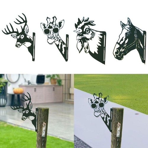 Garden decor metal - garden, peeping