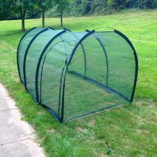 3X1.5X1.5m Allotment Plant