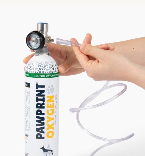 Pawprint cat rescue - cat, oxygen