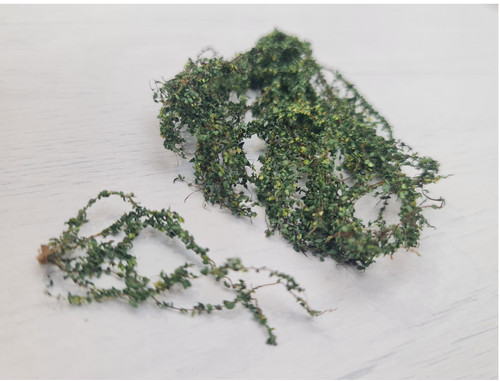 Miniature climbing vines - miniature,