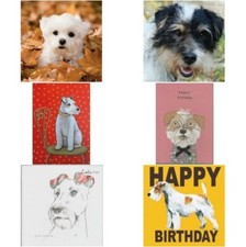 Terrier Card funny airedale