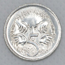 ✨Very RARE Hedgehog