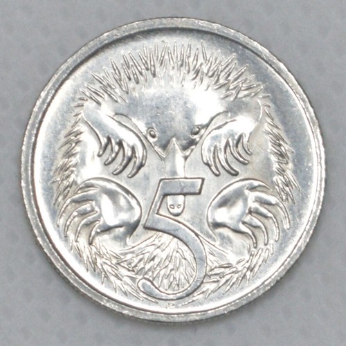 Very rare hedgehog - rare,