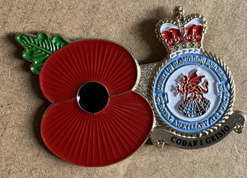 County glamorgan squadron - glamorgan,