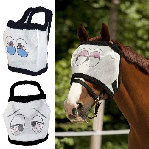 Ekkia equestrian horse - equestrian, fly