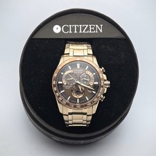 Citizen Eco-Drive Perpetual