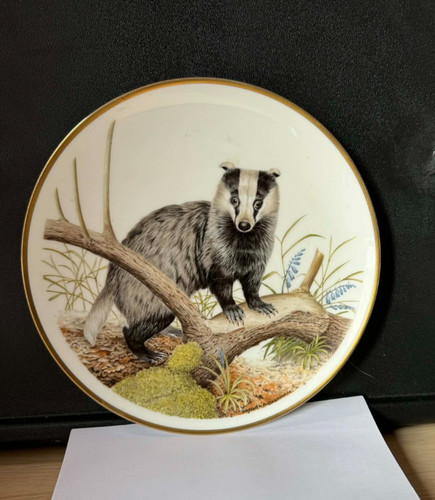 Wedgewood bone china cute - bone,