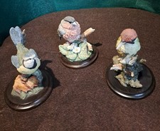 Country Artists Birds