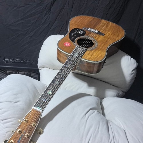 Acoustic electric guitar - d-45,