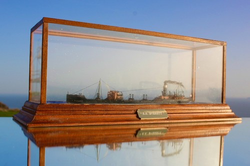 Everett fine cased - ss,